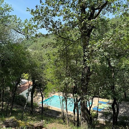 Maison avec piscine chauffée entre mer et montagne Montauriol  Extérieur photo