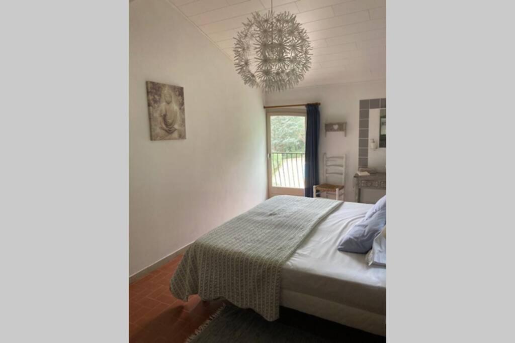 Maison avec piscine chauffée entre mer et montagne Montauriol  Extérieur photo