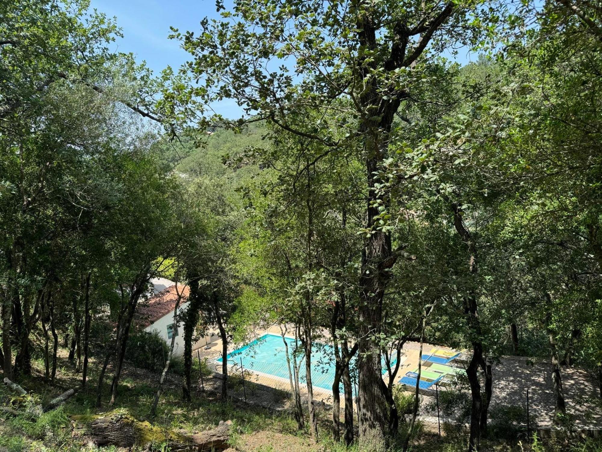 Maison avec piscine chauffée entre mer et montagne Montauriol  Extérieur photo